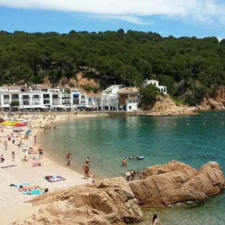 Gala 2